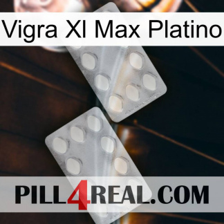 Vigra Xl Max Platinum 17